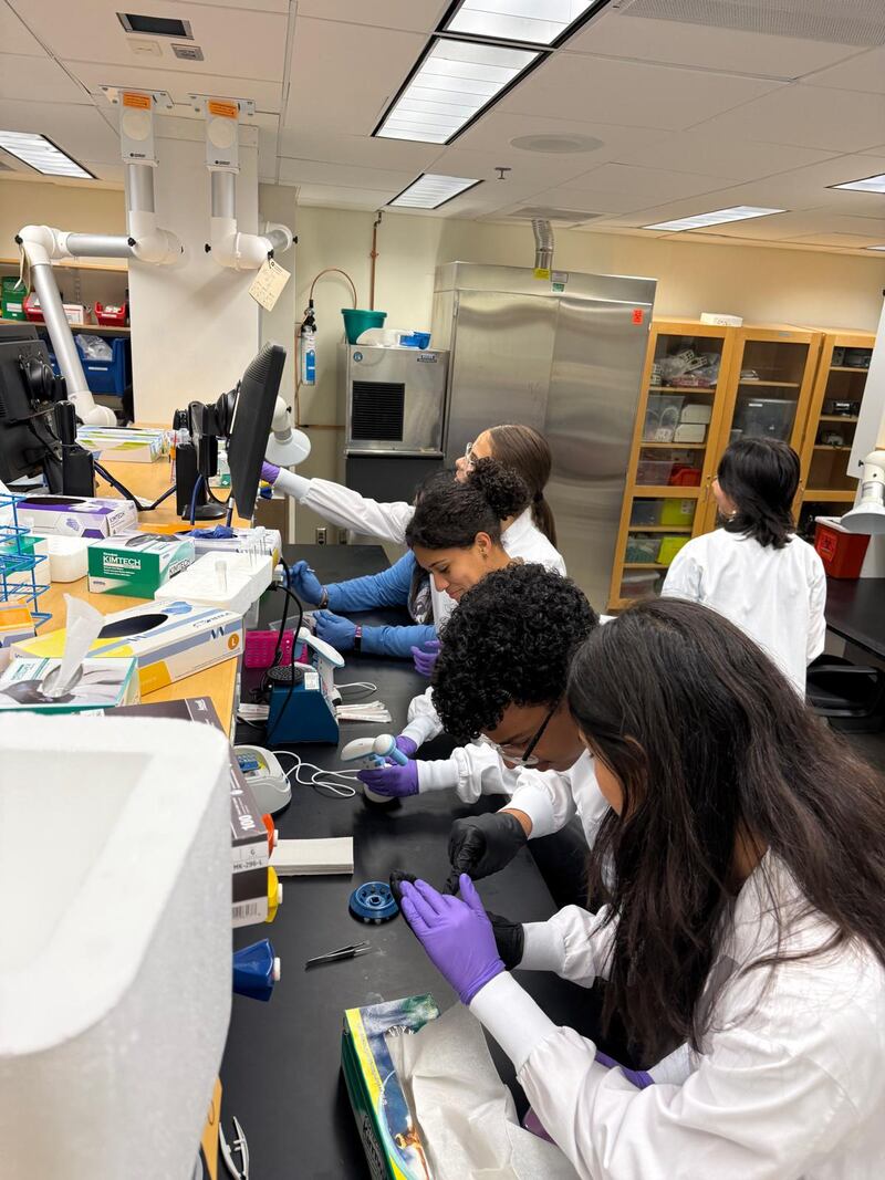 Abren convocatoria para programa de verano en ciencias que llevará a estudiantes de escuela superior a Boston