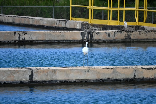 Gobierno identifica pozos en desuso para sumar millones de galones de agua en el área metropolitana