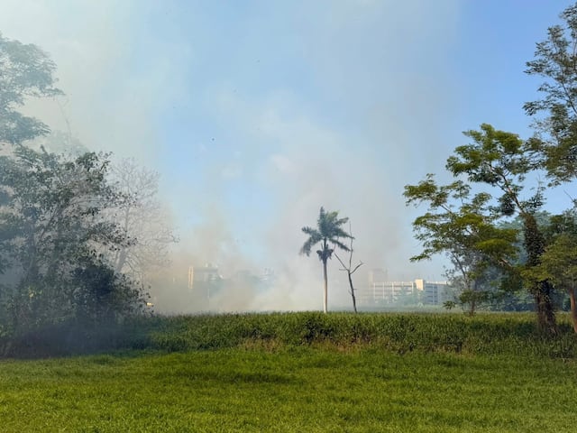No descartan mano criminal en incendios del Jardín Botánico de Río Piedras