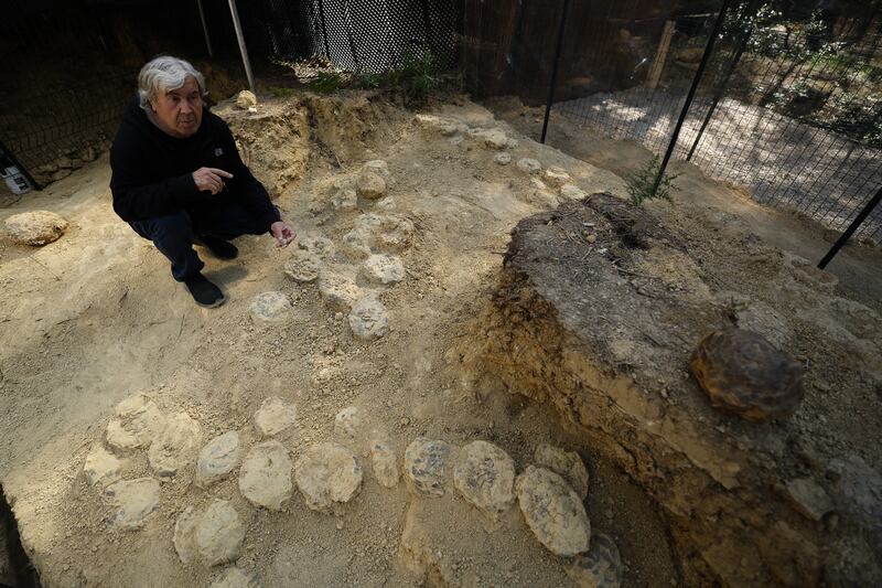 El misterioso lazo transatlántico de los dinosaurios: de la Patagonia al sur de Francia