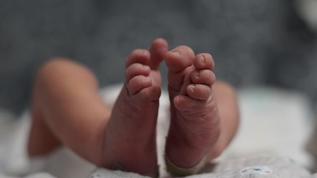 Partos se convierten en la razón principal de admisión en el Hospital Universitario de Adultos