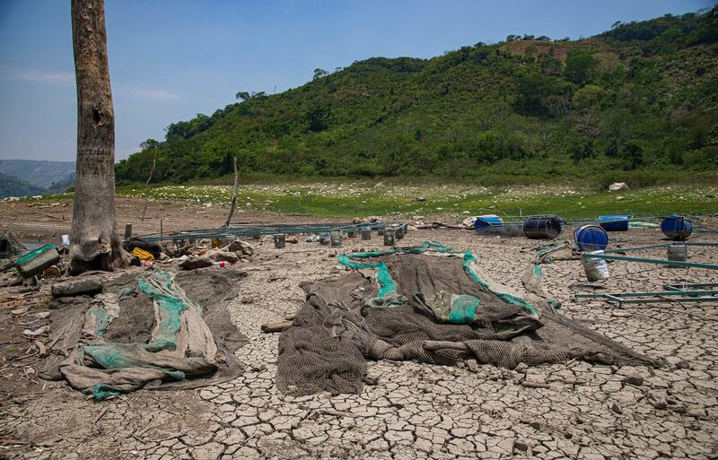 Estudio: El calor extremo y las sequías serán cinco veces más frecuentes a finales de siglo