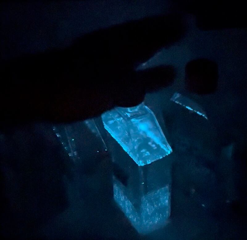 Amenazadas por el cambio climático las algas que iluminan playas con su bioluminiscencia