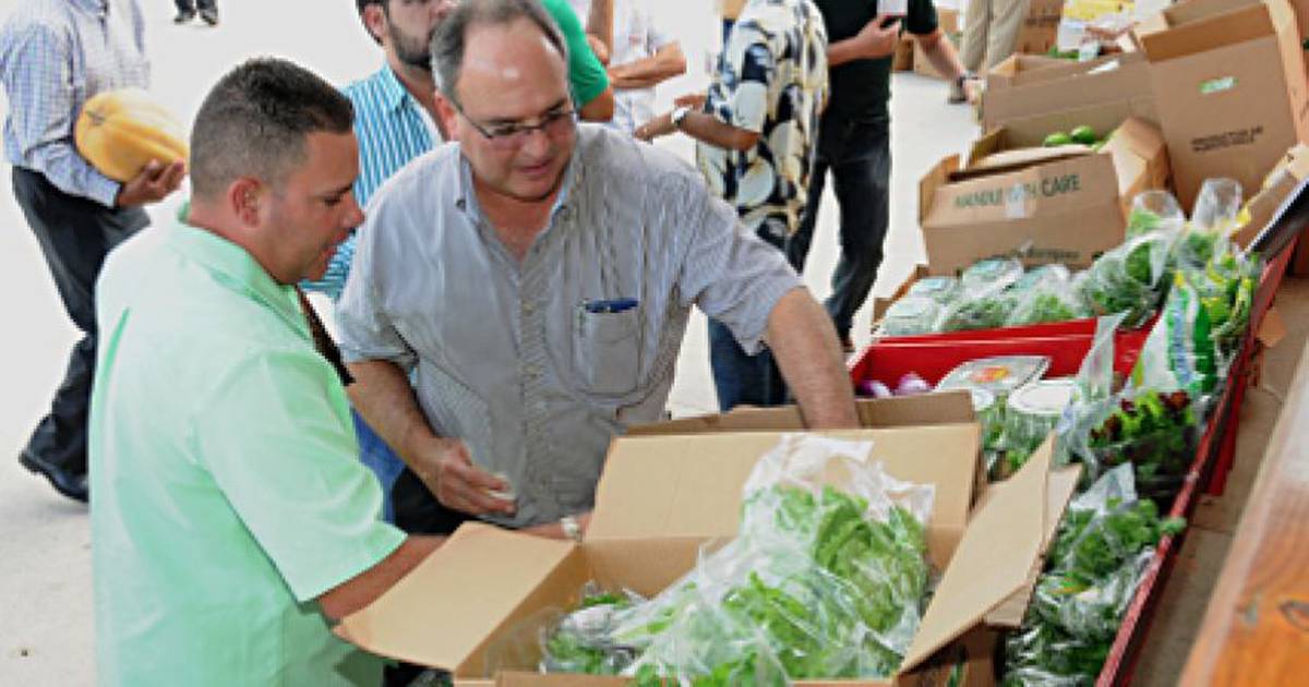 Mercado Econo brinda nuevas oportunidades a agricultores Metro Puerto