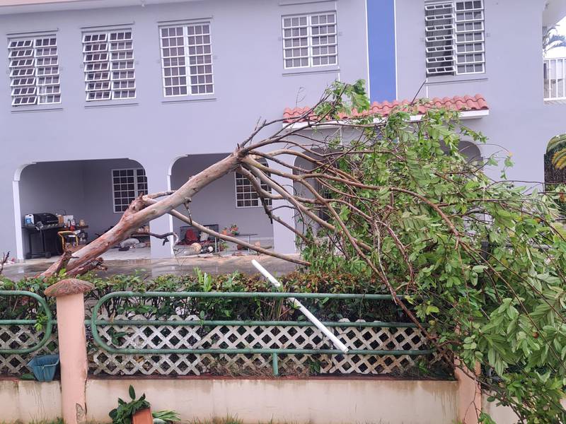 Tornado en Aguada causa daños en casas, carros y tendido eléctrico