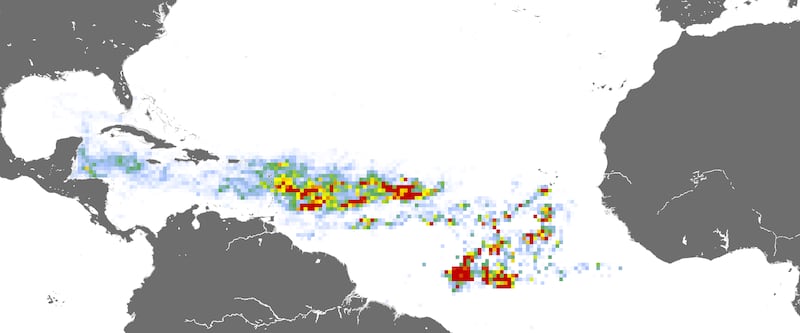 Mapa de marea de sargazo en el Océano Atlántico