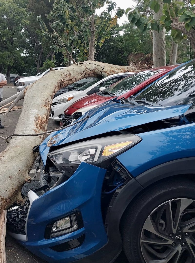 Árbol cae sobre varios carros en estacionamiento del Centro Médico de Río Piedras