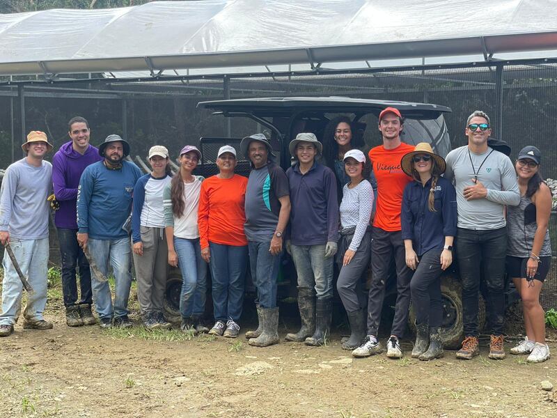 Jóvenes universitarios formaron brigadas para trabajar en varios municipios.