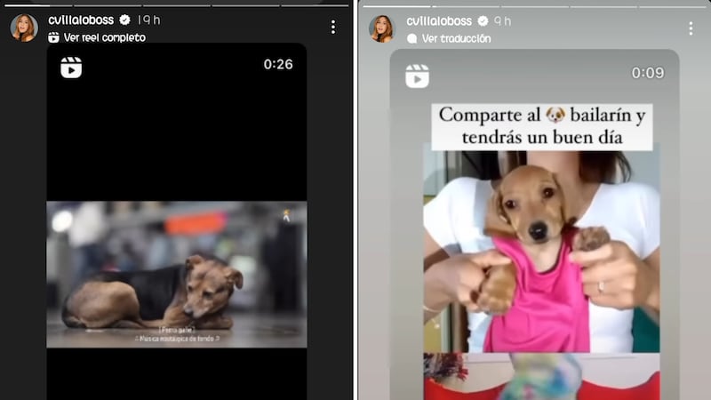 Carmen Villalobos tiene dos perros, que ahora como sus hijos.