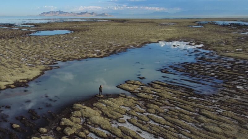 Las mejores fotografías del 2022; planeta en ebullición