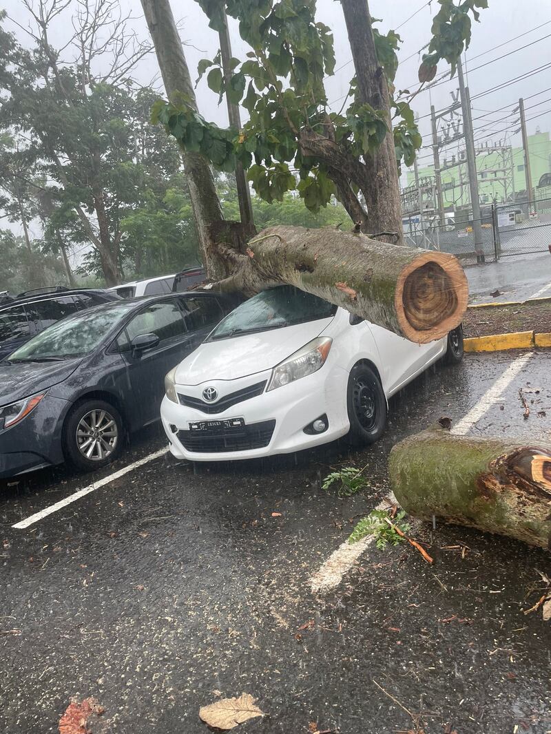 Árbol cae sobre varios carros en estacionamiento del Centro Médico de Río Piedras