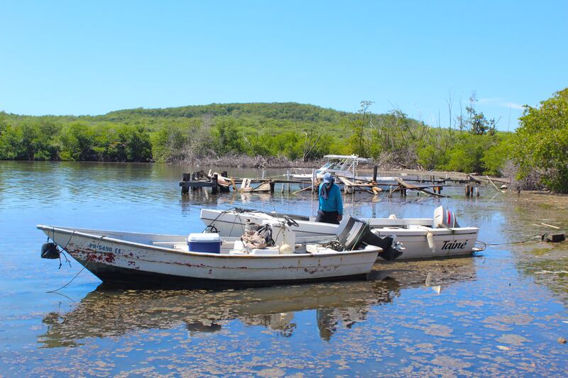 El pescador Manuel Román limpia su bote y el de su padre en la Bahía de Guánica, barrio Ensenada.