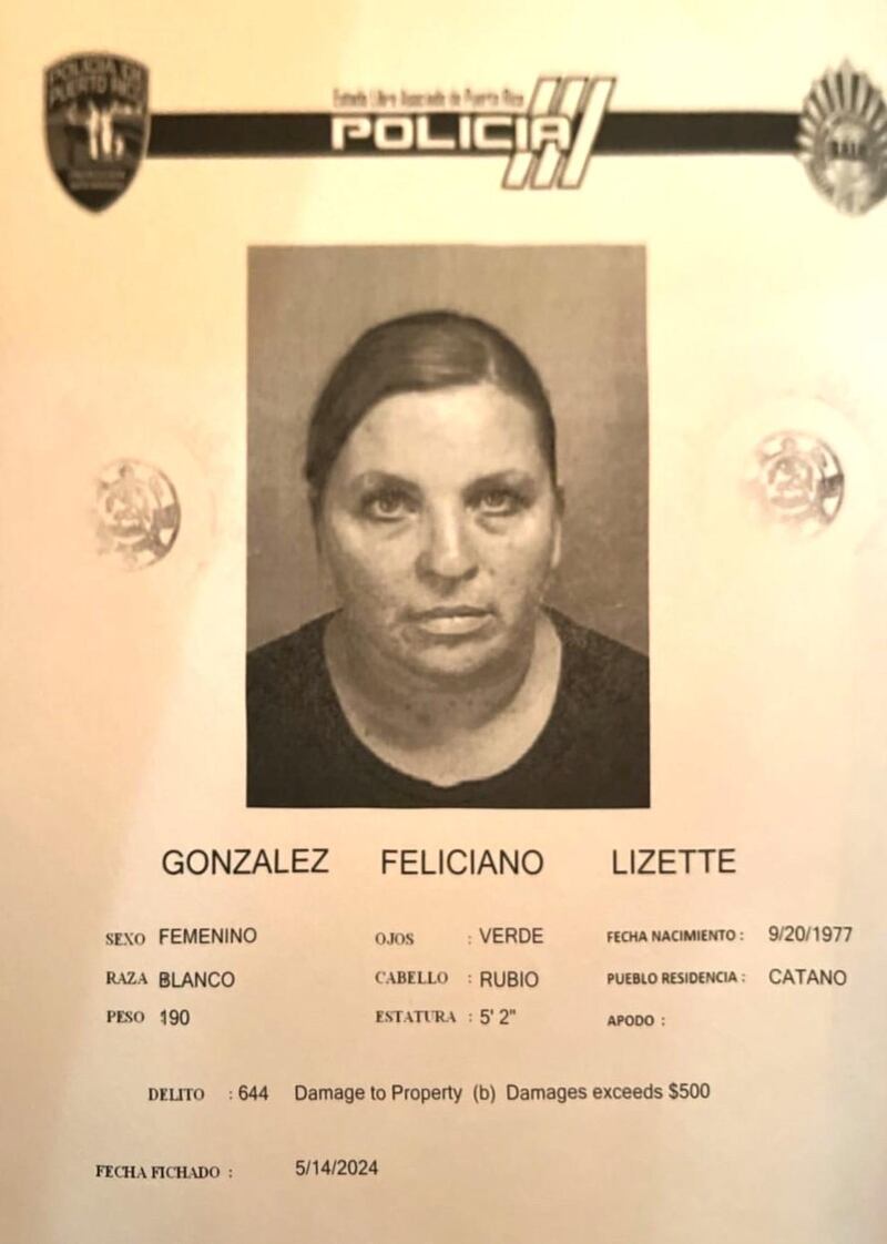 Lizette González Feliciano.
