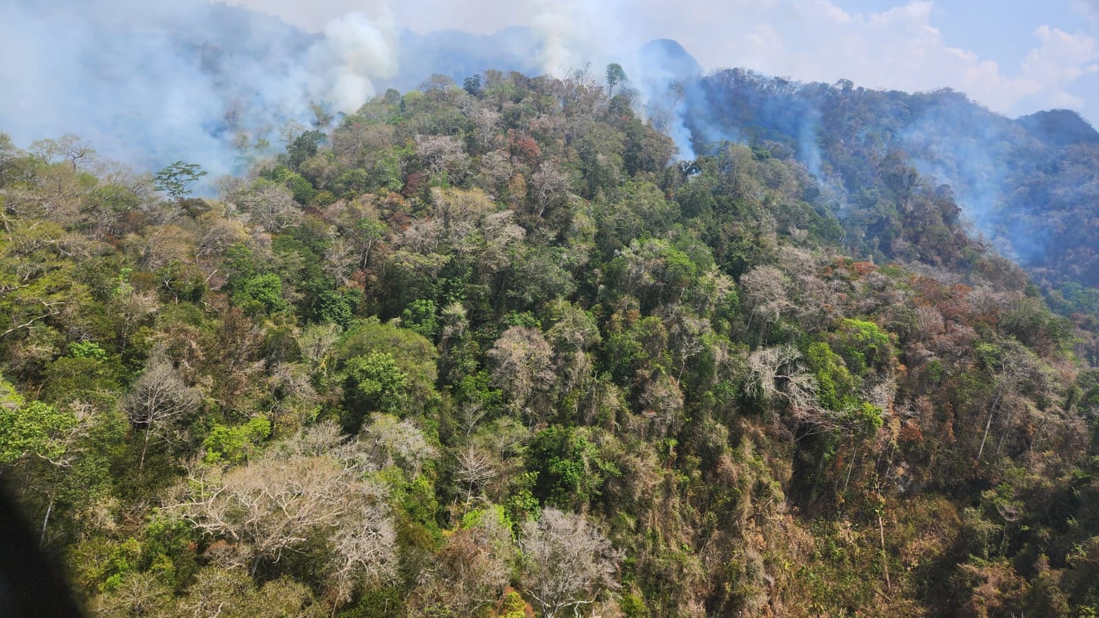 Los incendios forestales son considerados tragedias.