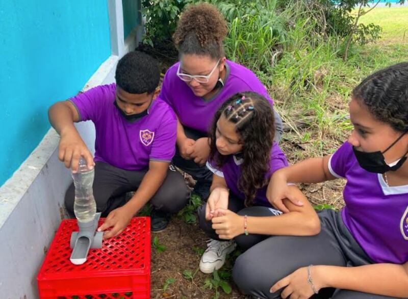 Escuela del PES José Horacio Cora activa en la bio-conservación de las abejas