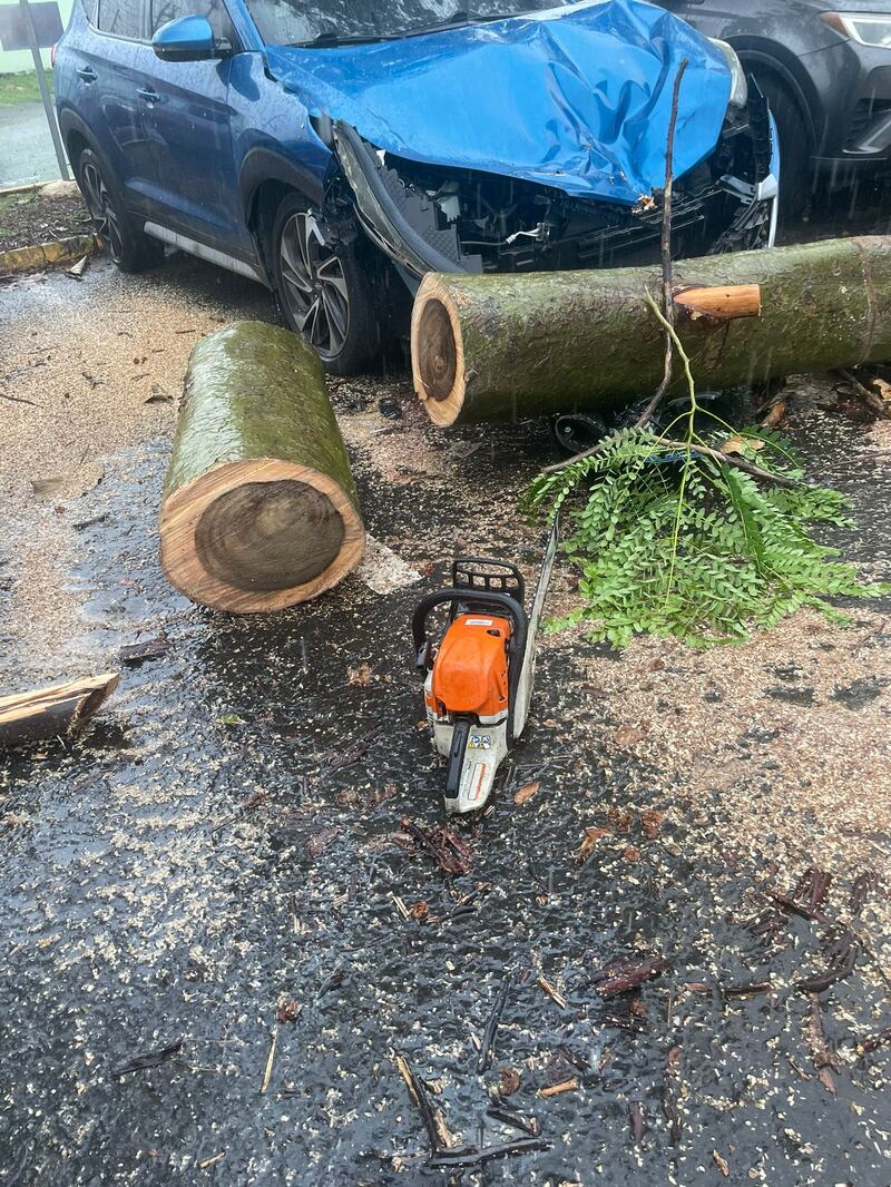 Árbol cae sobre varios carros en estacionamiento del Centro Médico de Río Piedras