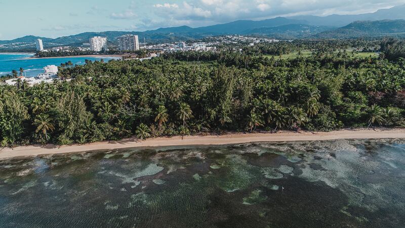 Costa de Luquillo.