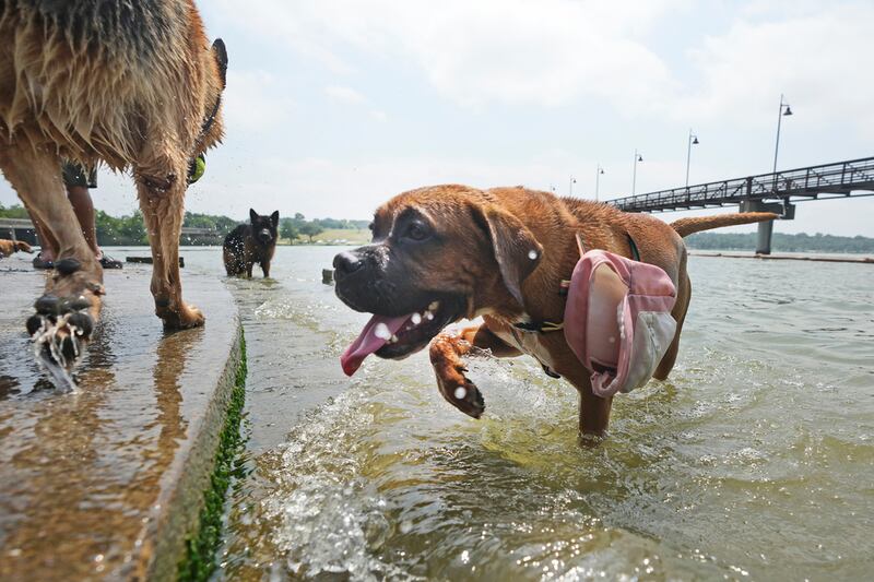 Calor en Estados Unidos