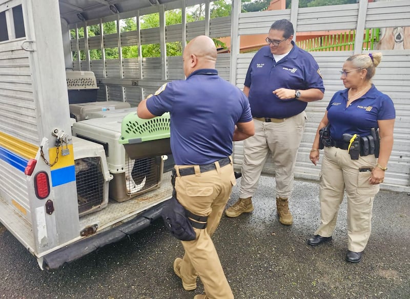 Policía remueve a 76 animales de albergue en Arecibo