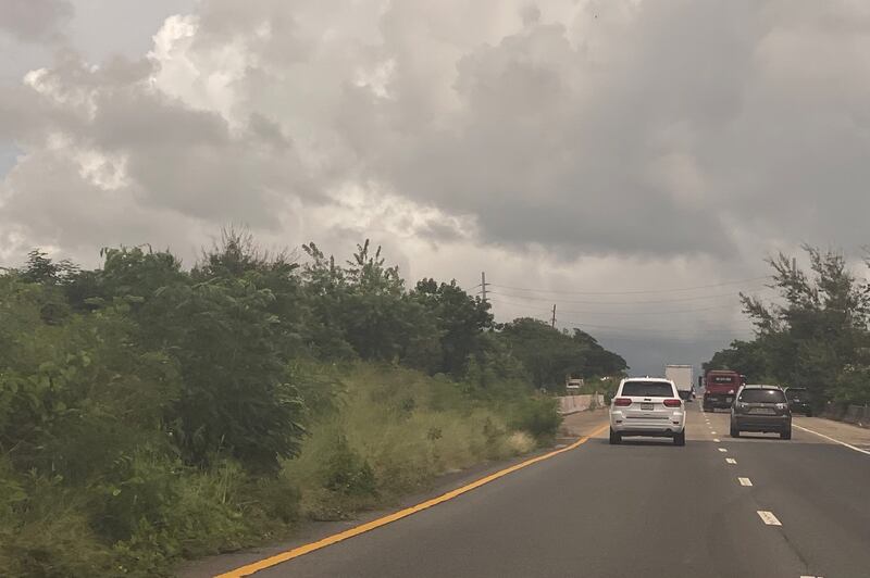 Maleza se apodera de la carretera PR-2.