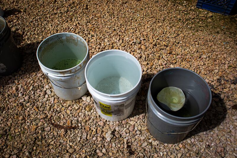 Tres baldes de agua llenos con agua de lluvia.